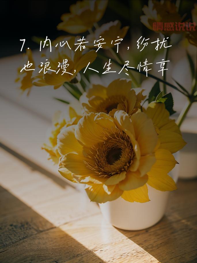 感情与情感说说:那些触动心灵的真挚瞬间