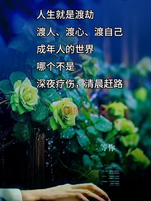 经典人性情感说说:那些年我们一起经历的情感风雨