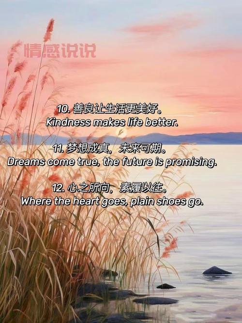 情感英文说说心情短语:治愈心灵的浪漫语录精选