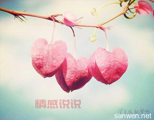 情感说说和图:深情告白与心灵共鸣