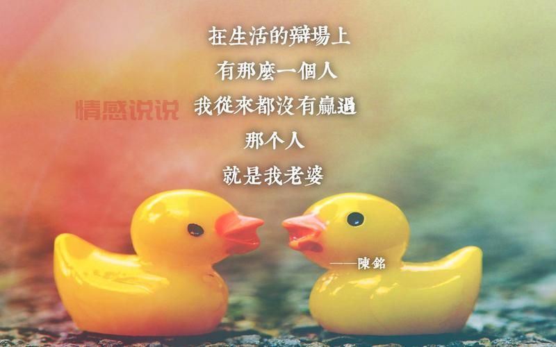 心灵鸡汤情感说说图片合集:温暖每个平凡瞬间