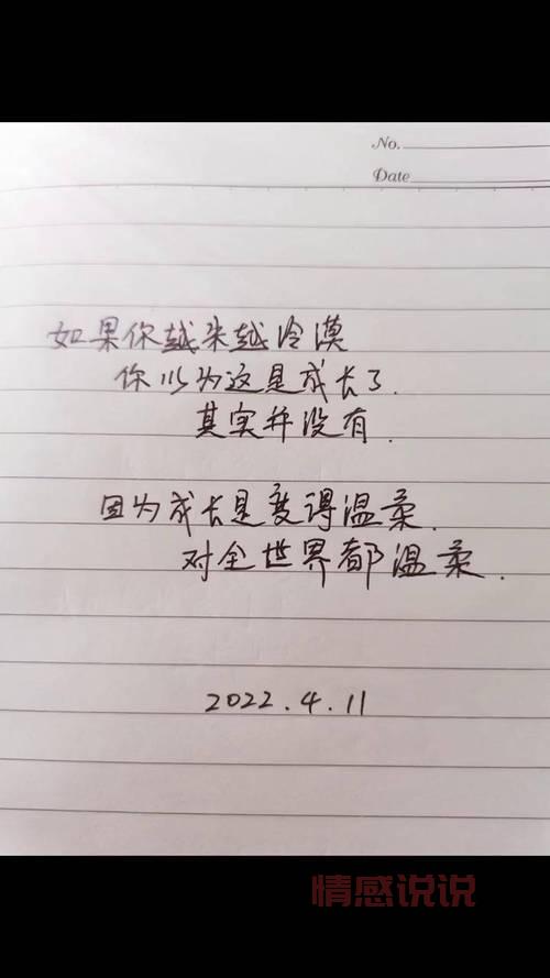 精选生活语录:触动人心的情感说说合集