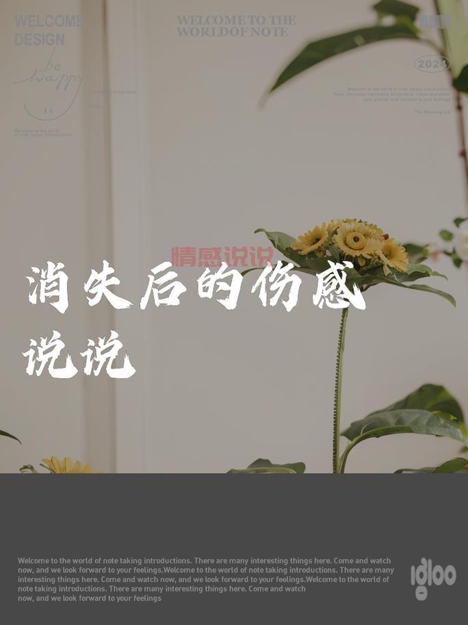 伤感情感句子说说心情:每一句都道尽无尽的思念与苦痛