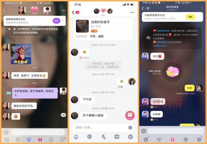 1对1聊天软件推荐:最安全、真实的社交平台