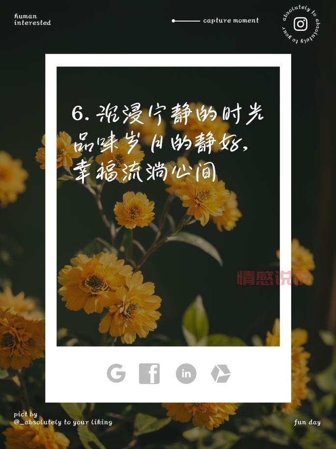 心情好情感说说:感受生活的美好与爱,心情如诗
