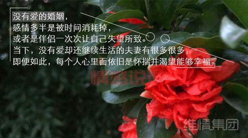 出轨情感说说：那些背叛让人心碎的瞬间