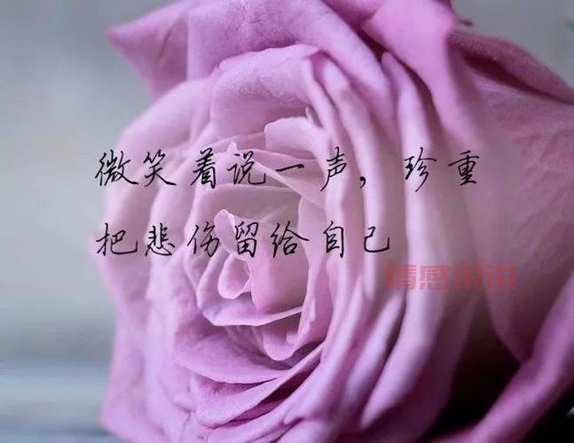 心情伤感短句：走过伤痛后的心灵感悟