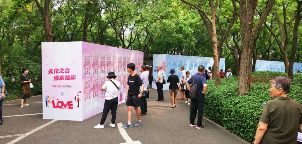 参与百合网相亲会,邂逅理想伴侣的最佳机会
