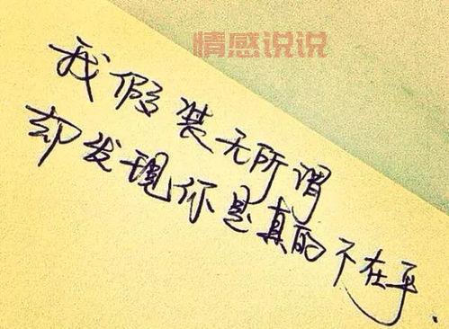 情感的说说句子大全:最打动人心的爱情与人生感悟