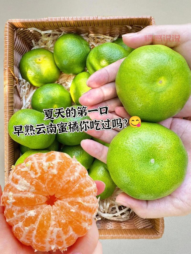 关于橘子的情感说说:你酸我甜,岁月如橘