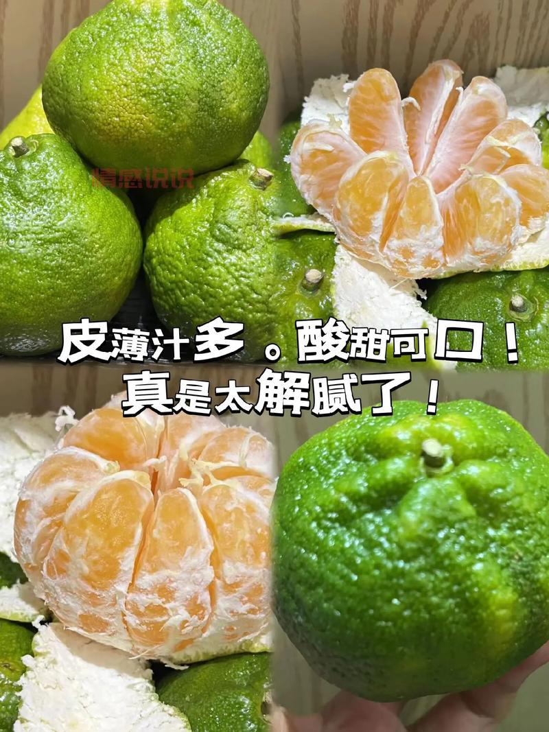 关于橘子的情感说说:你酸我甜,岁月如橘