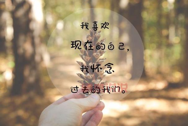 感情情感说说心情短语:温暖你的每一天