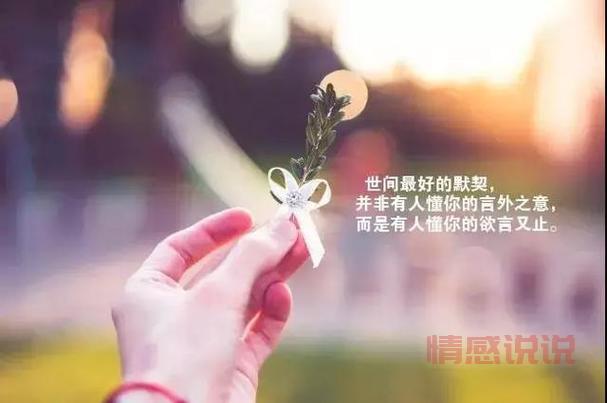 简短情感说说发朋友圈,轻松表达内心感受