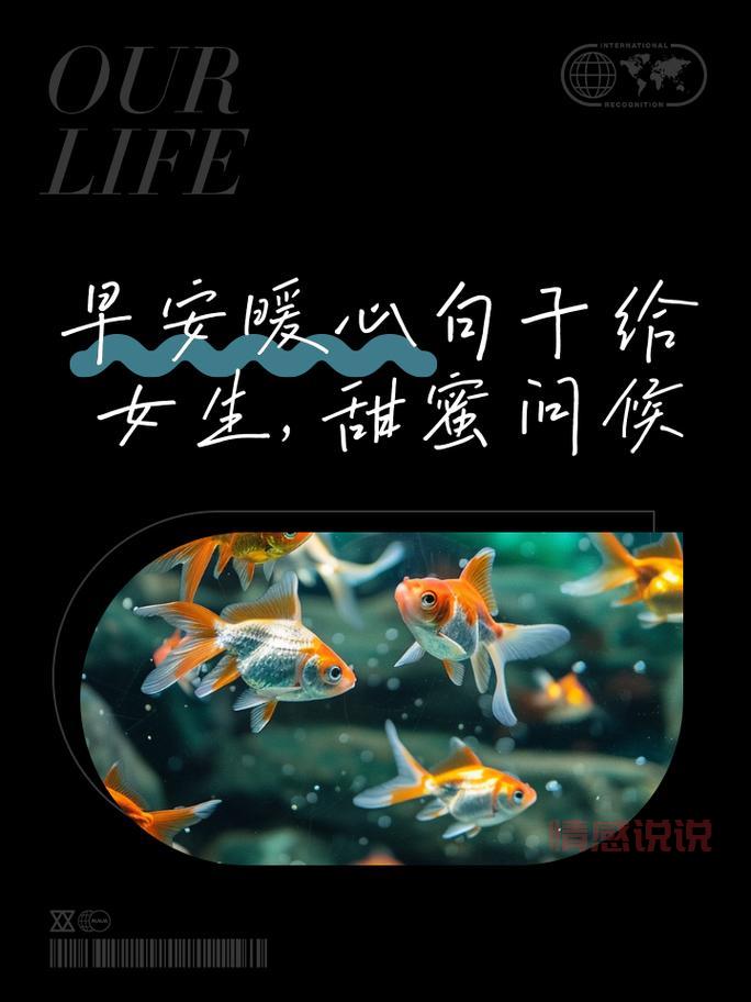 朋友圈早安说说情感:早安心情语录,温暖你的每个清晨