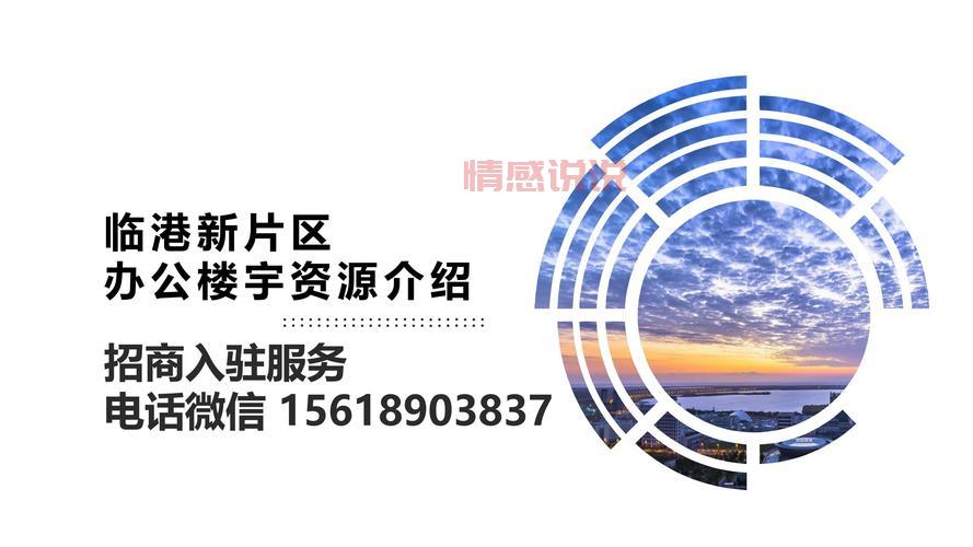 在上海临港注册公司,享受哪些独特优势与扶持?