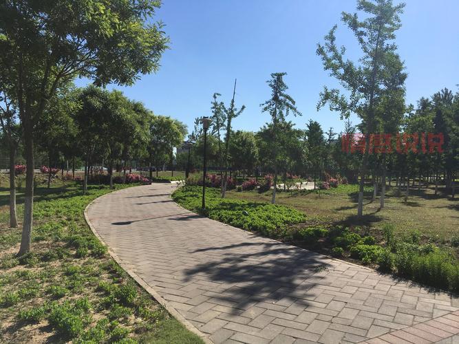 良乡大学城在哪找姑娘?探索最有效的交友途径