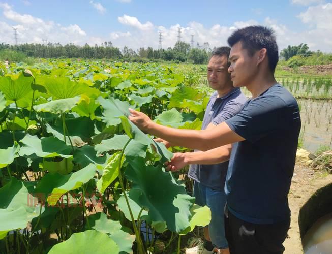 齐齐哈尔百姓网免费发布信息官网：便捷发布，精准匹配