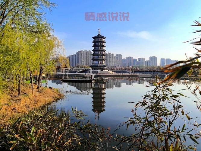 齐河吧最新热点:齐河人生活故事与民生话题汇聚地