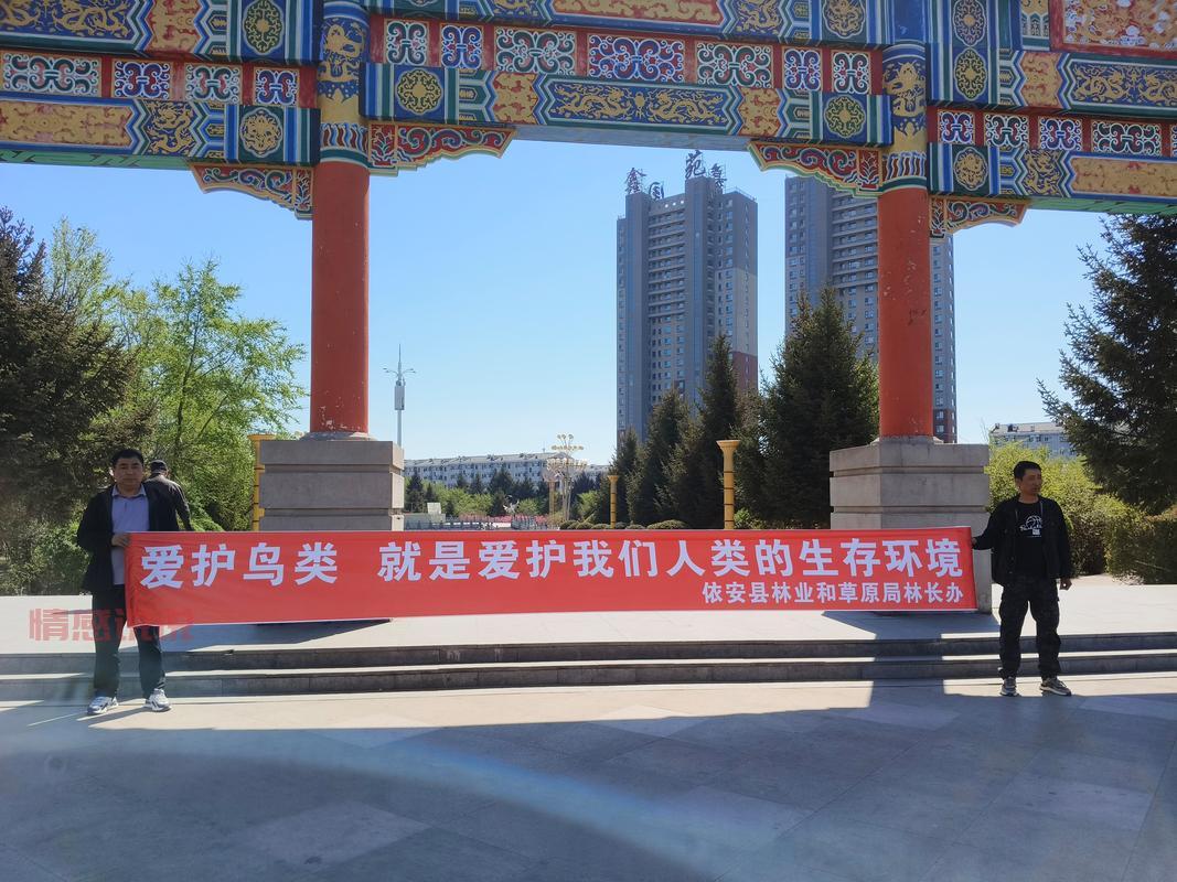 齐齐哈尔到依安客车时刻表查询