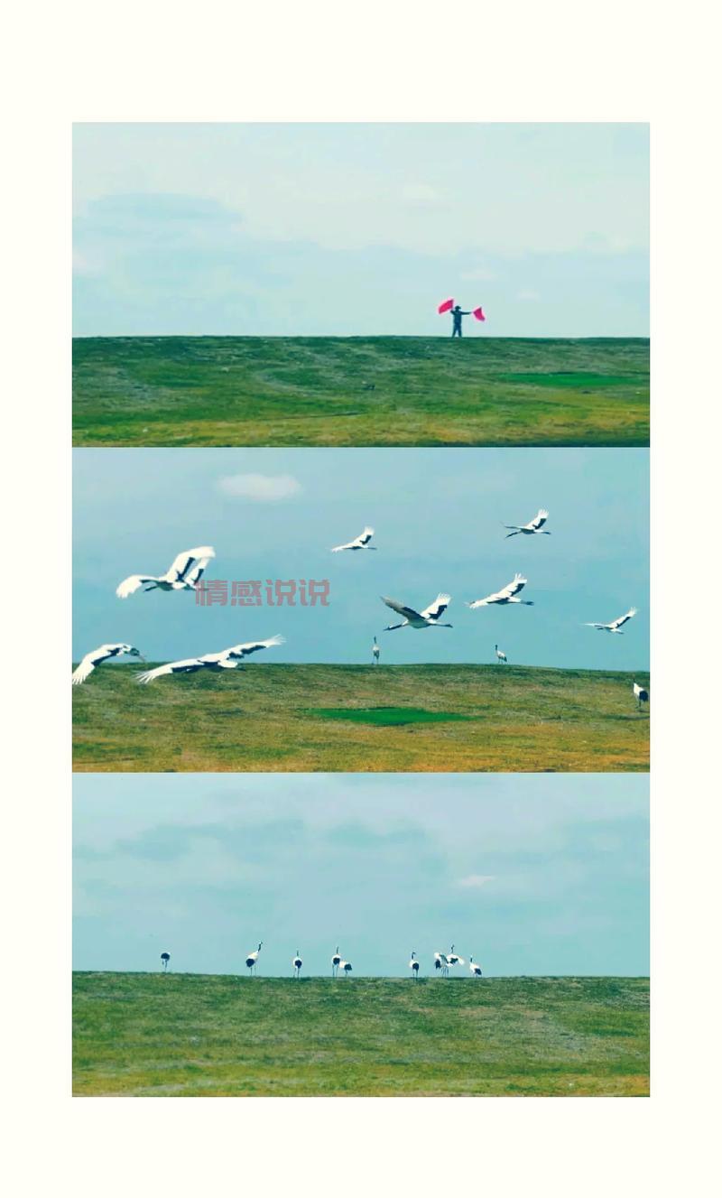 齐齐哈尔到依安多少公里