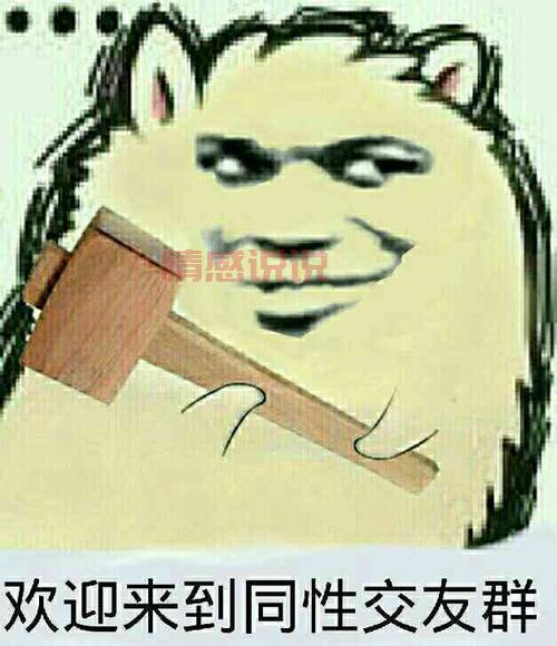 邯郸同性恋交友群号码分享,一起交流更快乐