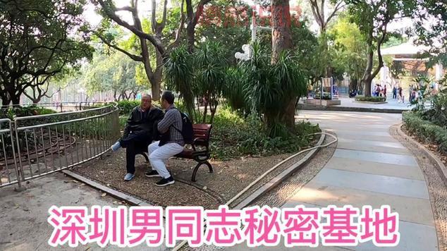 深圳同志网1069是什么？这个网站你听过吗？