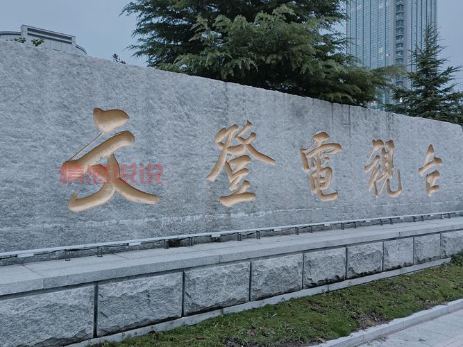 文登新闻视频回放哪里找?老乡都收藏这个网站!