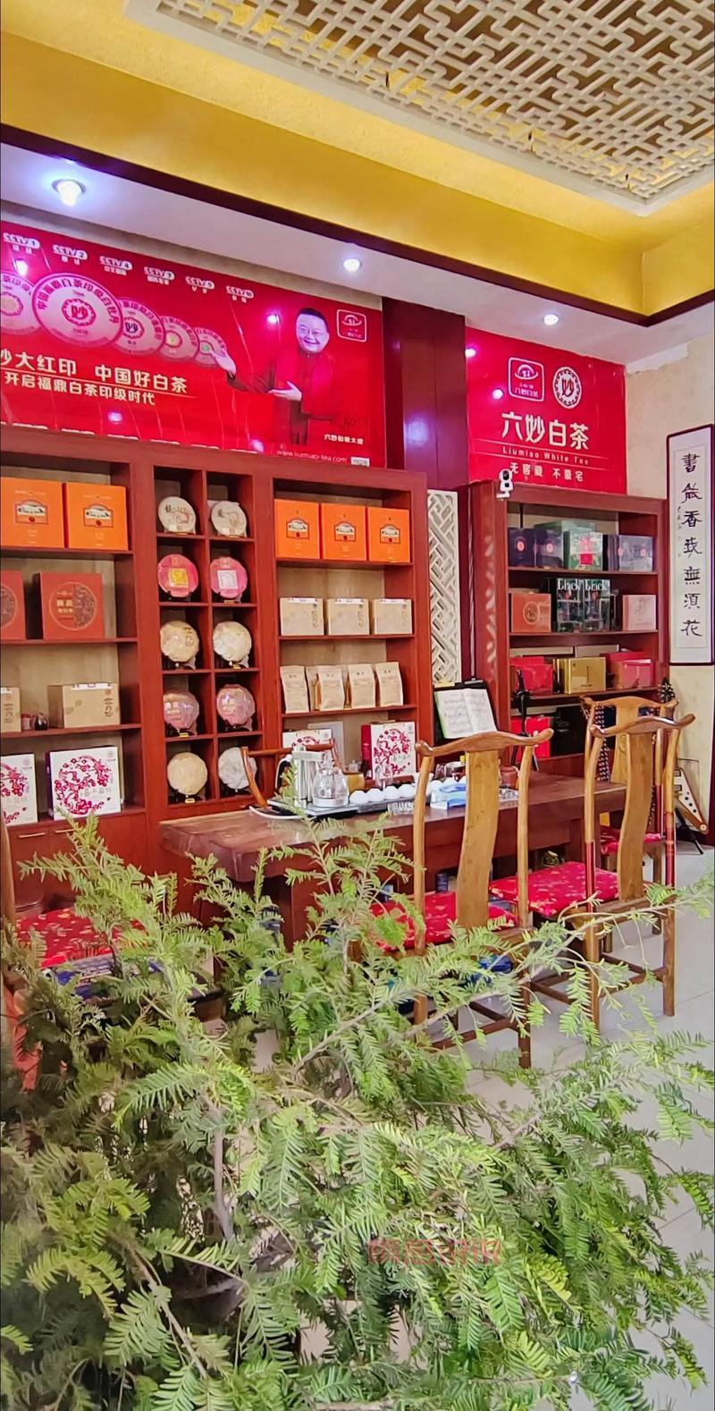 想去天津闻香阁怎么办?老顾客分享预约流程!