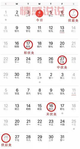 澳门刚刚最新消息今天是什么？速来了解详情！