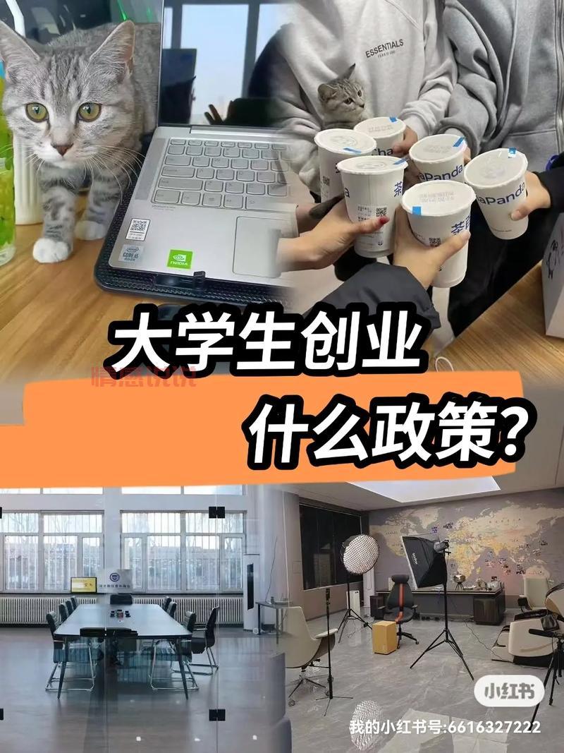 沈阳哪有大学生出来做的,真实靠谱的都在这了!