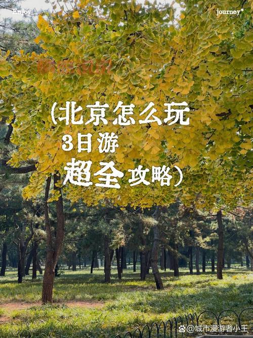 北京女生找个北京的男朋友,这几点要求得有!