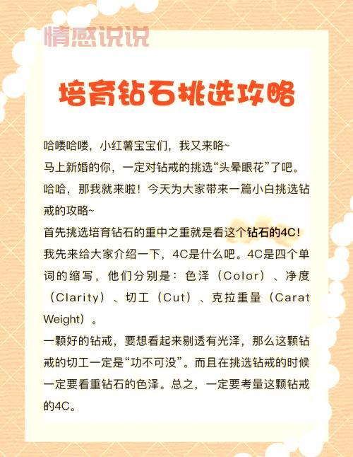 怎么做网上婚介?新手小白也能轻松上手的指南!