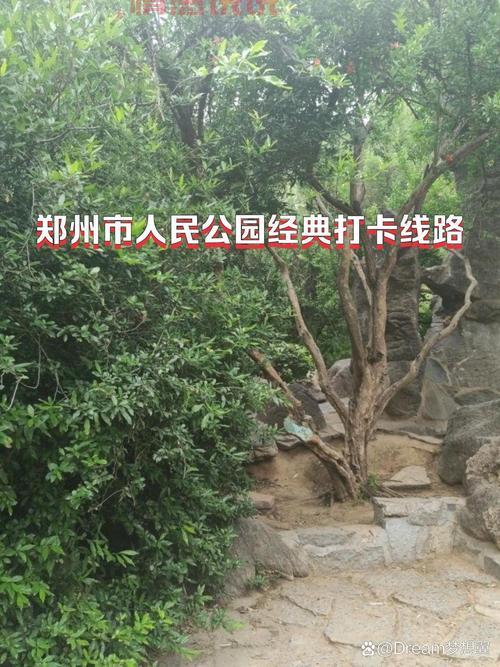 郑州人民公园游记分享，好看好玩的都在这！