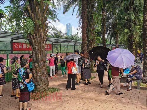 深圳莲花山相亲公园图集,相亲角到底长啥样?