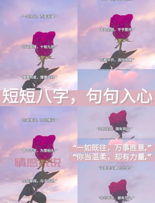 八字秀恩爱短句大全,这样