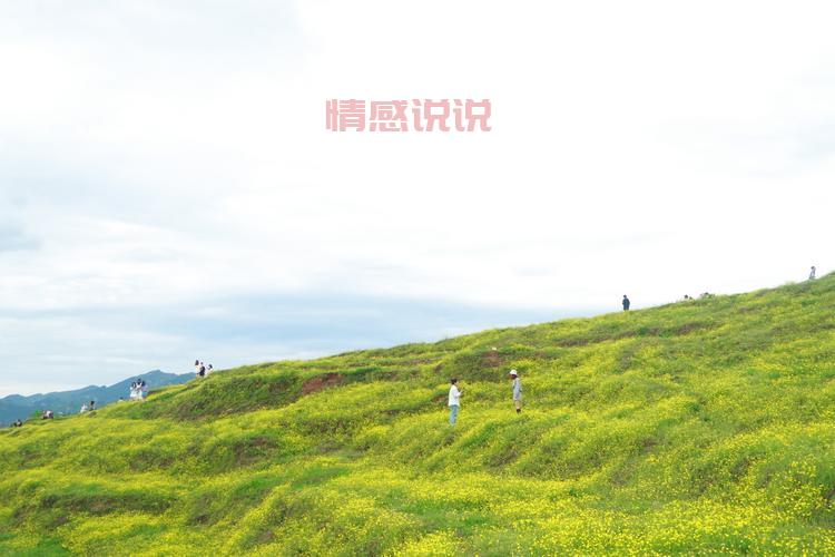 想在万州找对象？重庆万州同城交友网等你来！