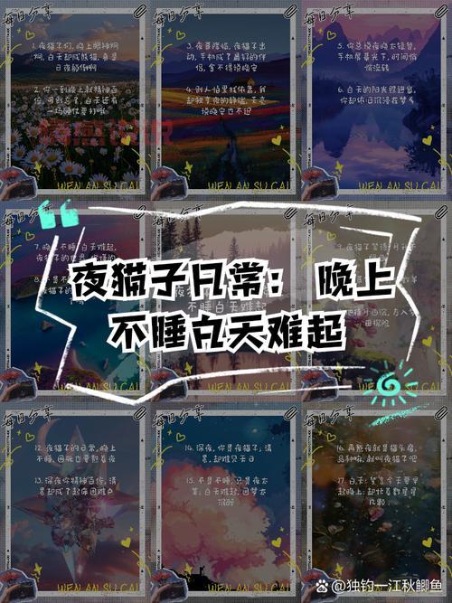 夜晚必下的100款软件推荐,夜猫子都在用啥?