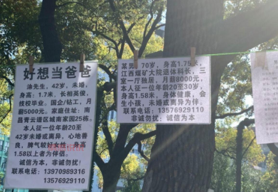 中山百姓征婚启事怎么写?看这篇就够了!