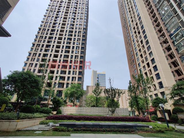 长沙开福区婚介所怎么选?看这几点不踩坑!