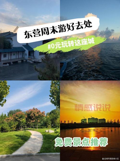 山东东营找单身男攻略,看这一篇就够了!