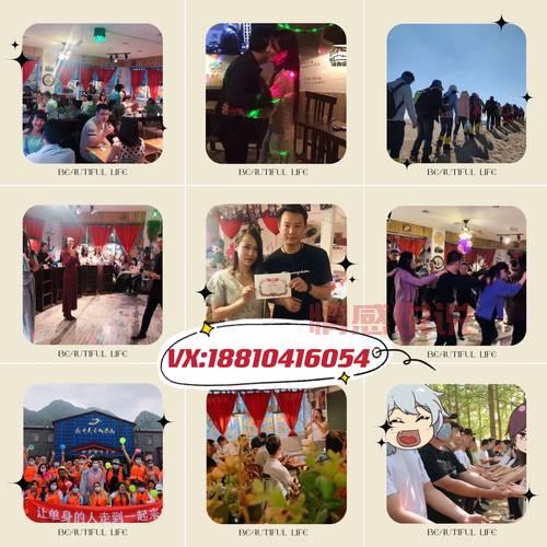 白领网上婚恋交友哪个好?单身人士看这里!