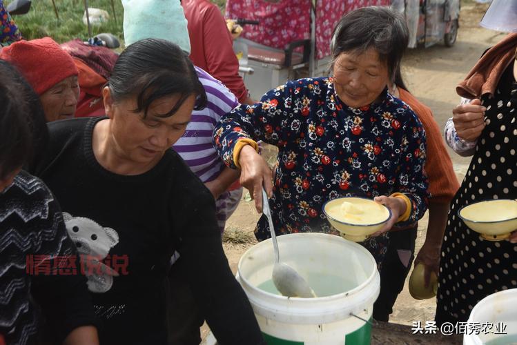 哪里打工既能赚钱又能找老婆？这几个地方机会大！