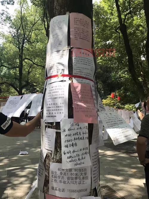 天坛公园老年人相亲攻略,助您找到心仪伴侣!