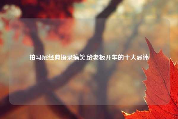 拍马屁经典语录搞笑,给老板开车的十大忌讳