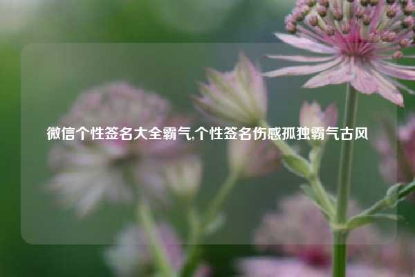 微信个性签名大全霸气,个性签名伤感孤独霸气古风