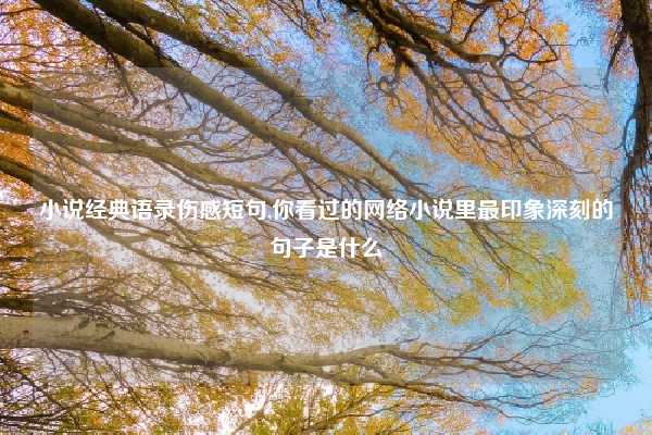 小说经典语录伤感短句,你看过的网络小说里最印象深刻的句子是什么