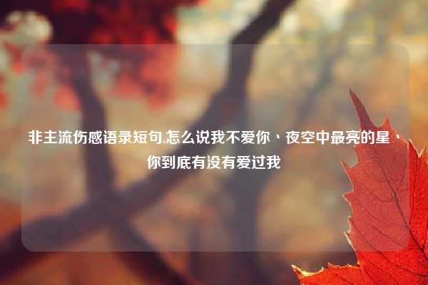 非主流伤感语录短句,怎么说我不爱你丶夜空中最亮的星丶你到底有没有爱过我