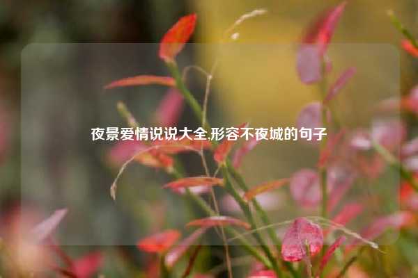 夜景爱情说说大全,形容不夜城的句子