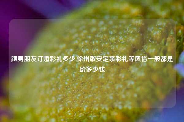 跟男朋友订婚彩礼多少,徐州敬安定亲彩礼等风俗一般都是给多少钱