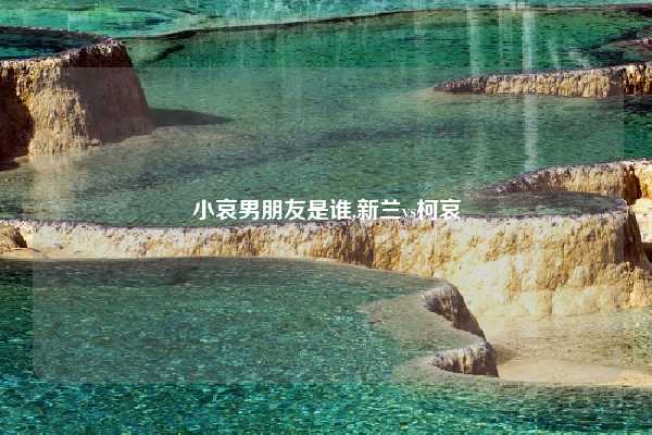 小哀男朋友是谁,新兰vs柯哀